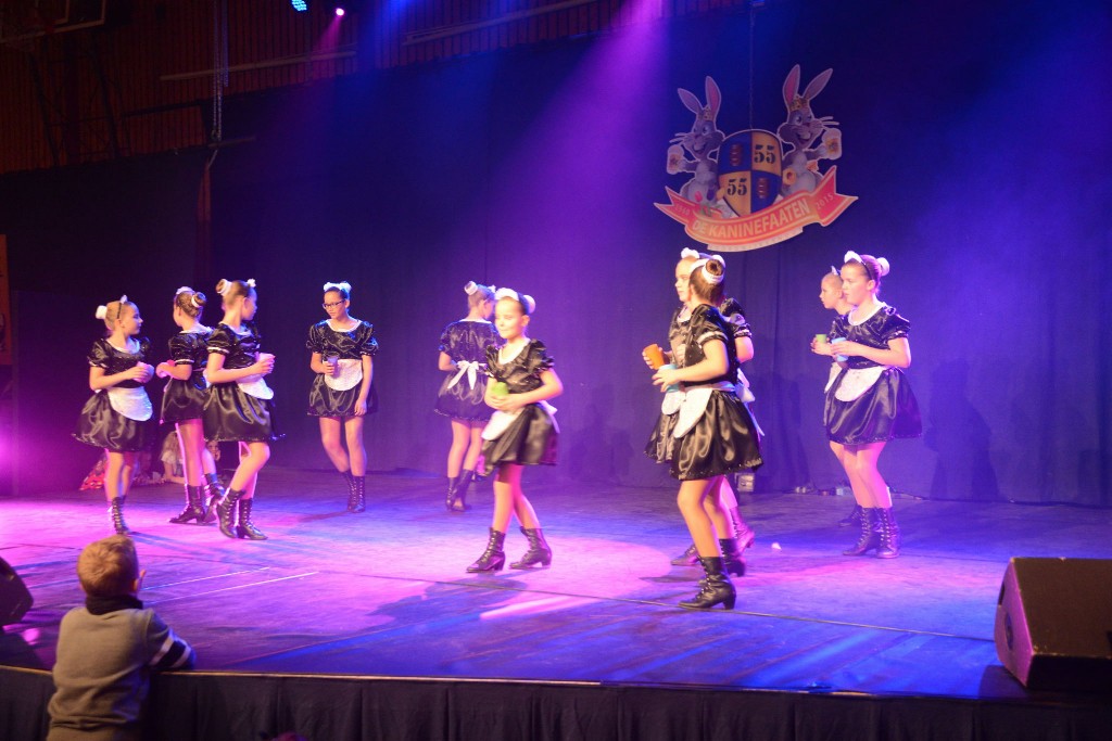 ../Images/Dansmarieke festival 2015 311.jpg